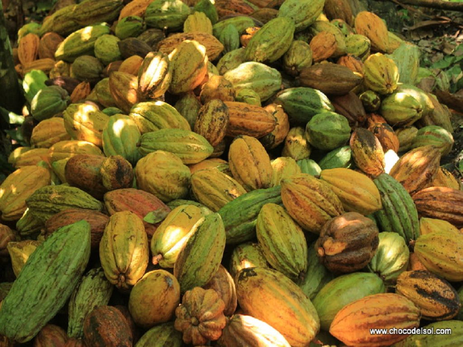 Taiga Bio Kakaobohnen fermentiert 500g