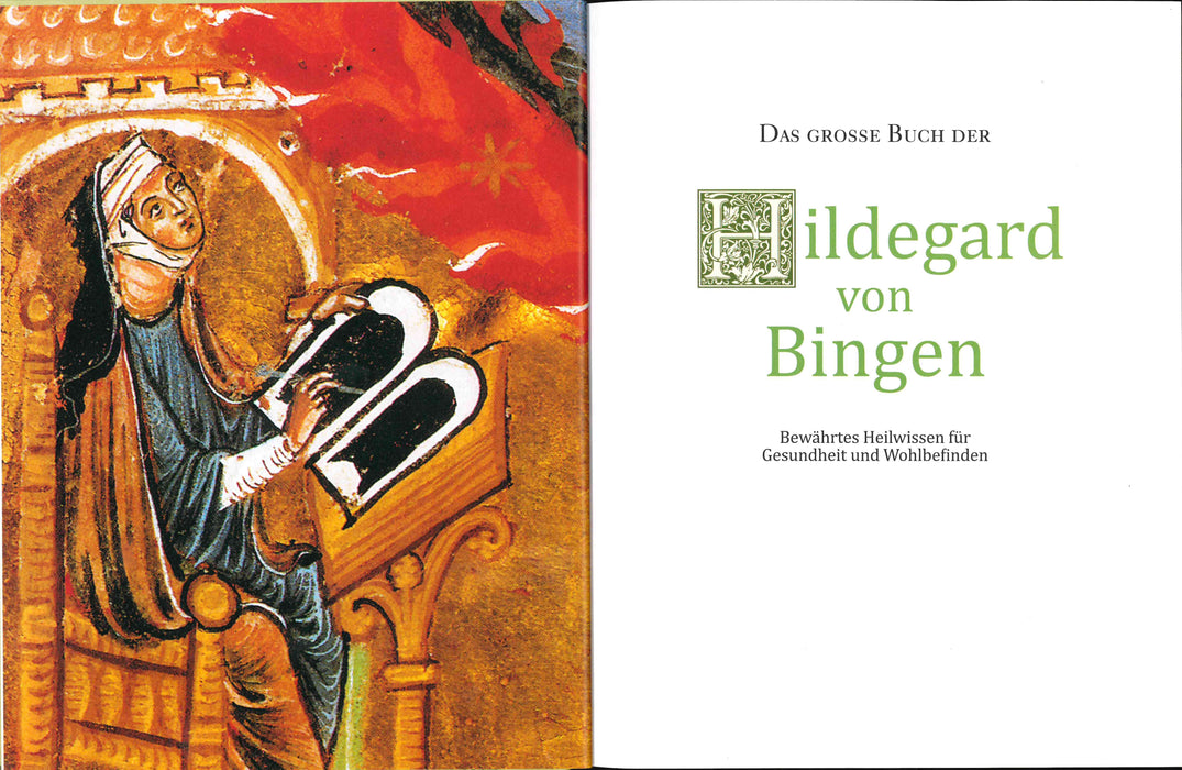 Buch "Das große Buch der Hildegard von Bingen" 336 Seiten