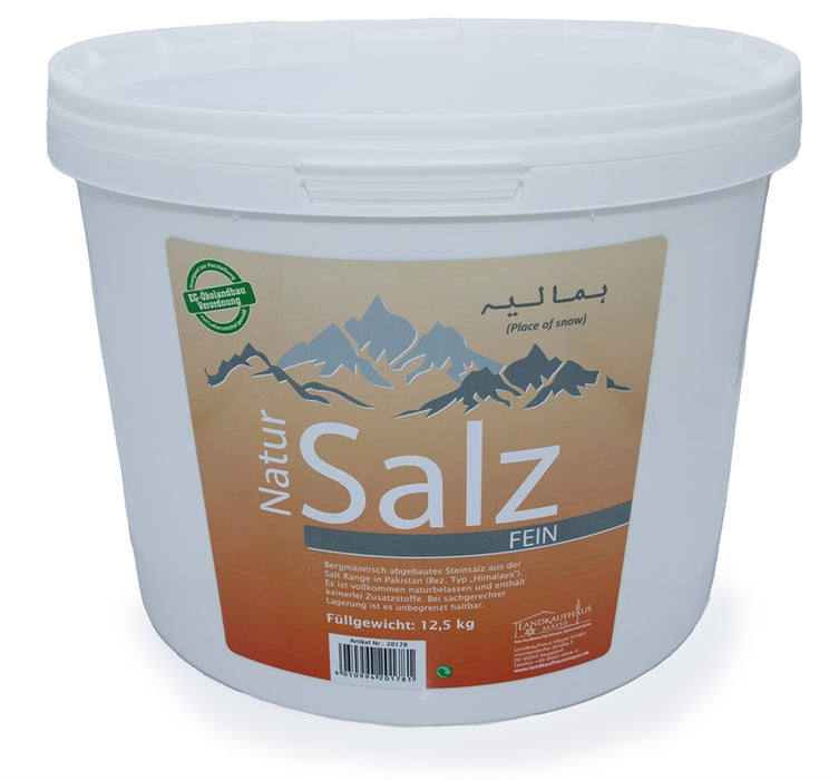 Feines Salz aus der Salt Range in Pakistan (Bez. Typ "Himalaya) im 12,5kg Kunstoff-Eimer