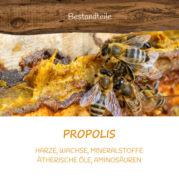 Imkermeister Krüger's Propolis-Kräuterhexe 125ml