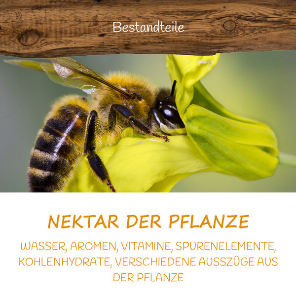 Imkermeister Krüger's Propolis-Kräuterhexe 125ml