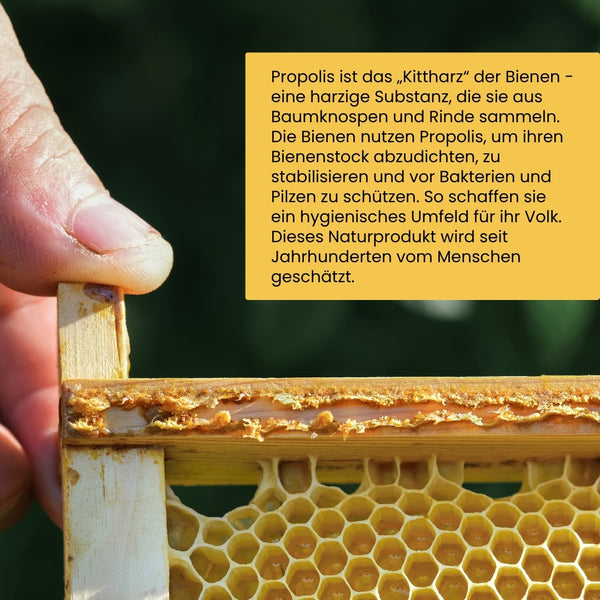 Imkermeister Krüger's Propolis Tinktur 30% 20ml