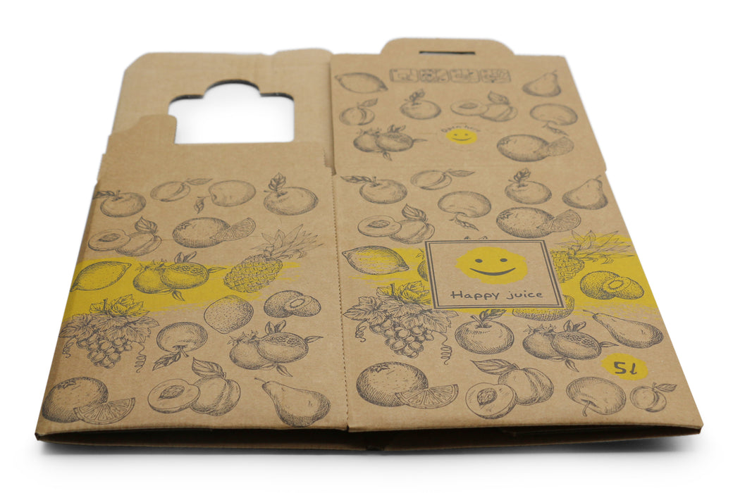 Bag-in-Box Karton – wählbar im 2er- oder 10er-Pack