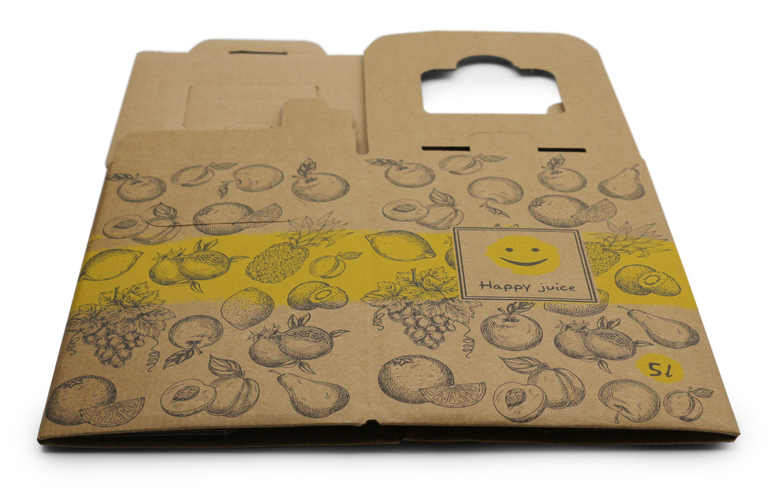 Bag-in-Box Karton – wählbar im 2er- oder 10er-Pack