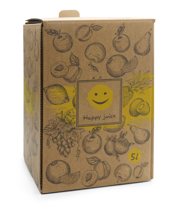 Bag-in-Box Karton – wählbar im 2er- oder 10er-Pack