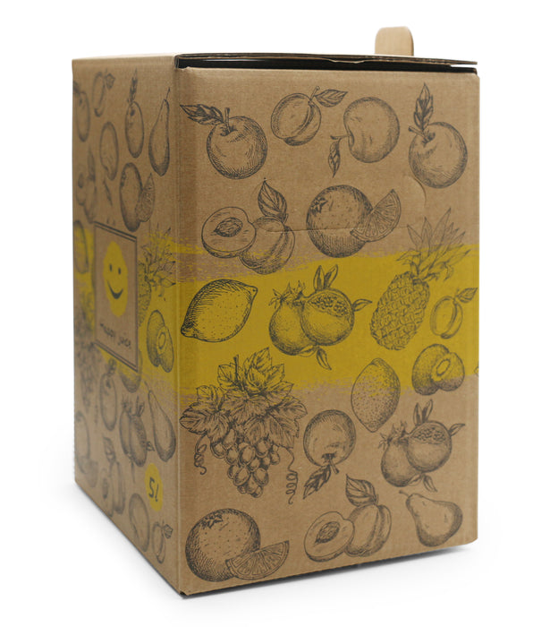 Bag-in-Box Karton – wählbar im 2er- oder 10er-Pack