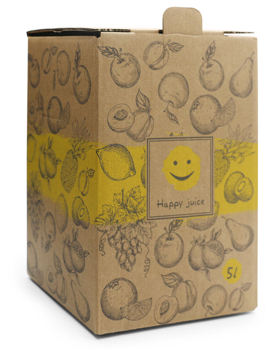 Bag-in-Box Karton – wählbar im 2er- oder 10er-Pack