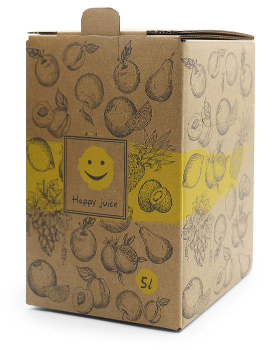 Bag-in-Box Karton – wählbar im 2er- oder 10er-Pack