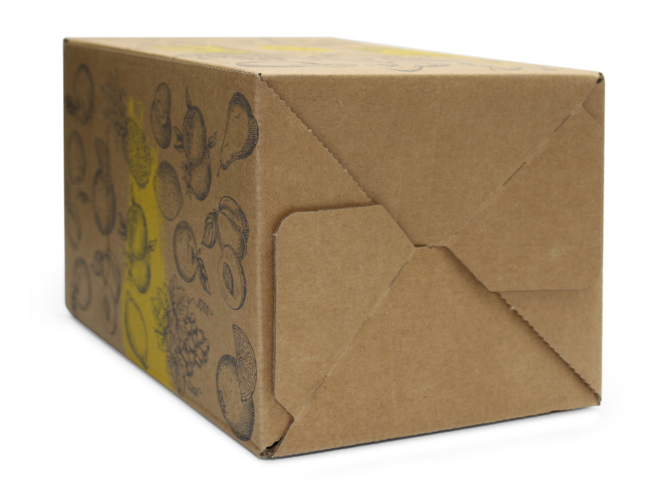 Bag-in-Box Karton – wählbar im 2er- oder 10er-Pack