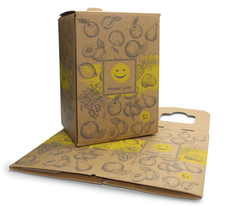 Bag-in-Box Karton – wählbar im 2er- oder 10er-Pack