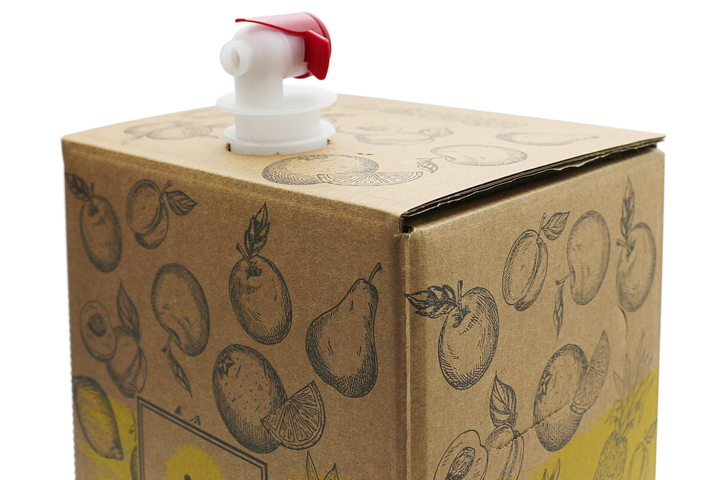 Bag-in-Box Karton – wählbar im 2er- oder 10er-Pack