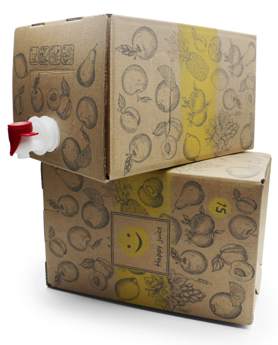 Bag-in-Box Karton – wählbar im 2er- oder 10er-Pack