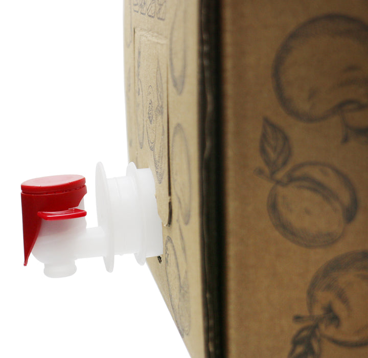 Bag-in-Box Karton – wählbar im 2er- oder 10er-Pack