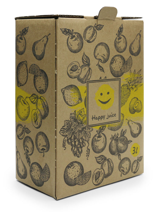 Bag-in-Box Karton – wählbar im 2er- oder 10er-Pack