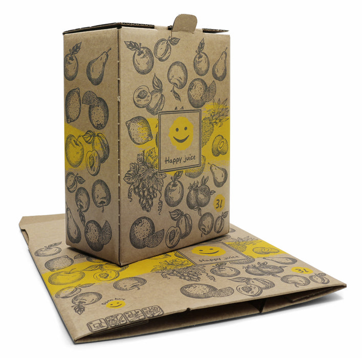 Bag-in-Box Karton – wählbar im 2er- oder 10er-Pack