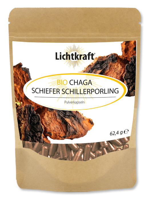 Lichtkraft Bio Chaga Schiefer Schillerporling