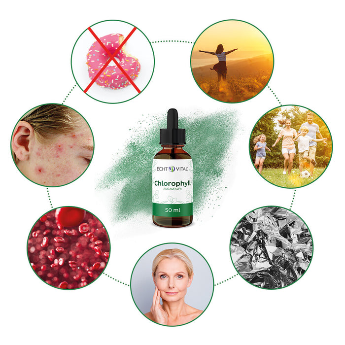 Echt Vital® Chlorophyll Tropfen 50ml