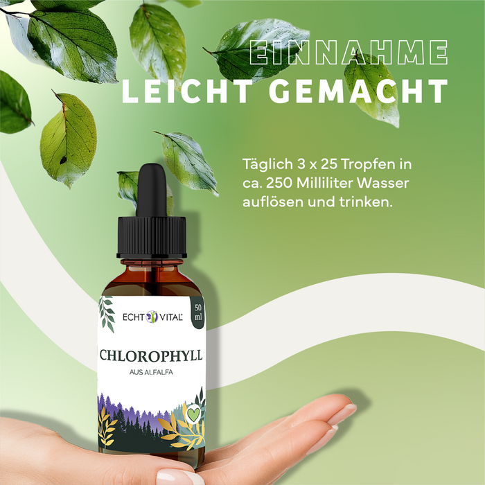 Echt Vital® Chlorophyll Tropfen 50ml