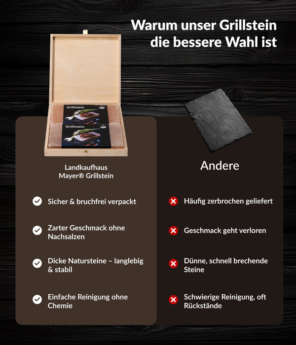 Grillstein Salz