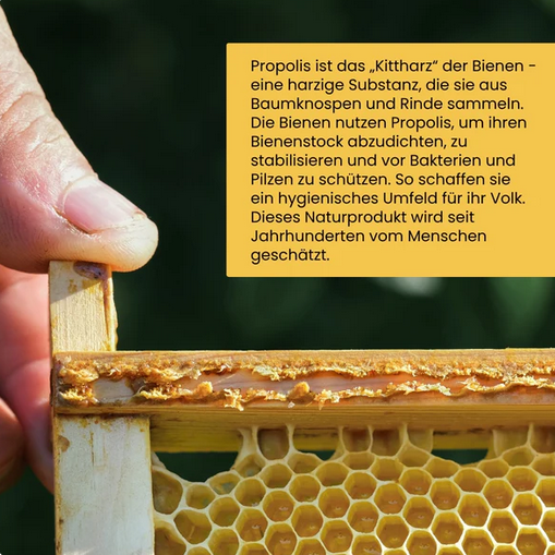 Imkermeister Krüger's Propolis Spray -alkoholfrei- 20ml