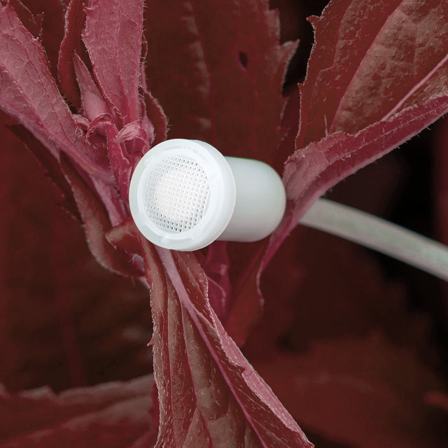 EM Birchmeier Sprühflasche "Foxy Plus" 360° 500ml