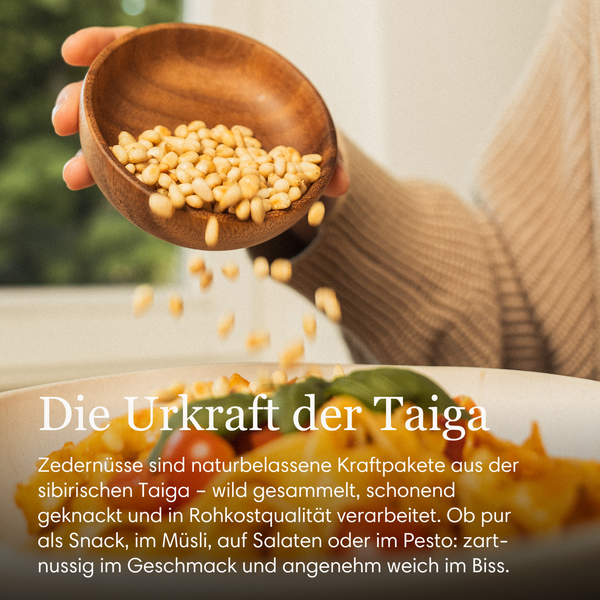 Taiga Sibirische Bio Zedernüsse aus Wildsammlung 500g