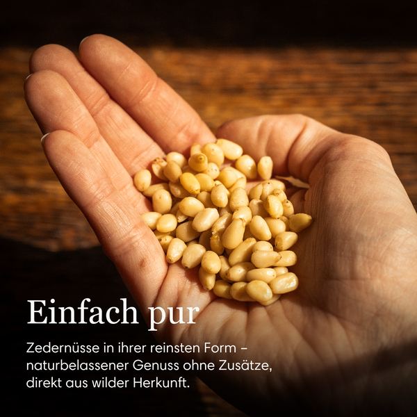 Taiga Sibirische Bio Zedernüsse aus Wildsammlung 500g