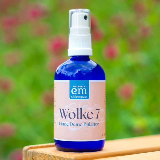 EM Wolke 7 Energetik-Spray