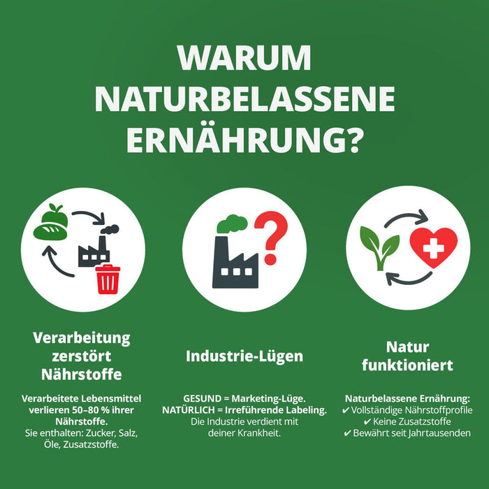 Buch "Die Krankheitslügen - Was man macht, um nicht krank zu werden"
