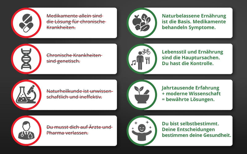 Buch "Die Krankheitslügen - Was man macht, um nicht krank zu werden"