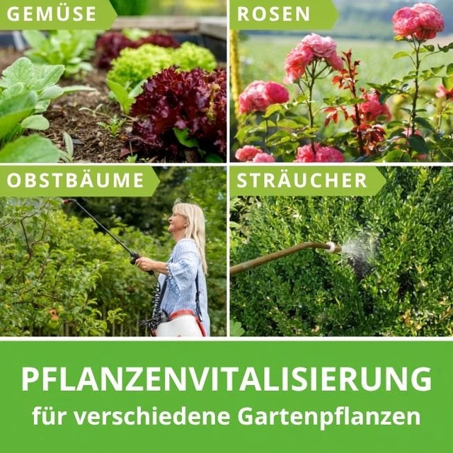 Anwendungsübersicht für EM Chiemgau Scharfes Blond bei verschiedenen Gartenpflanzen wie Gemüse, Rosen, Obstbäumen und Sträuchern.