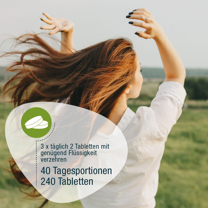 GSE Bio Chlorella mit Verzehrempfehlung: dreimal täglich zwei Tabletten mit ausreichend Flüssigkeit, 40 Tagesportionen und 240 Tabletten.
