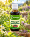 Hildegard von Bingen Bittergold Kräuterbitter 50 ml, umgeben von Salbei, Minze, Rosmarin, weißen und violetten Blüten in einem sonnigen Kräutergarten.