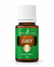 Young Living Clarity Essential Oil Blend 15 ml als freigestelltes Produktbild in brauner Glasflasche mit weißem Verschluss vor hellem Hintergrund.