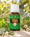 Young Living Clarity Essential Oil Blend 15 ml, dekoriert mit frischen Kräutern, grünen Blättern und weißen Blüten auf hellem Naturstein.