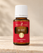Young Living Di-Gize Essential Oil Blend 15 ml in brauner Glasflasche mit weißem Verschluss auf hellem Naturstein vor warmem, neutralem Hintergrund.