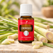 Young Living Lemongrass ätherisches Öl 15 ml, dekoriert mit frischen Zitronengrasstängeln, grünen Blättern und Zitronengrasscheiben auf hellem Naturstein.