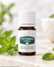 Young Living Pfefferminze+ ätherisches Öl 5 ml, dekoriert mit frischen Minzblättern auf hellem Naturstein in einer natürlichen, frischen Produktinszenierung.