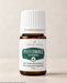 Young Living Pfefferminze+ ätherisches Öl 5 ml als Nahaufnahme in brauner Glasflasche mit weißem Verschluss vor hellem neutralem Hintergrund.
