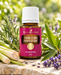 Young Living Purification Essential Oil Blend 15 ml, dekoriert mit frischem Zitronengras, Lavendel, Rosmarin und grünen Blättern auf hellem Naturstein.