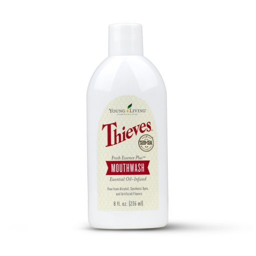 Young Living Thieves Fresh Essence Plus Mundspülung 236 ml in weißer Flasche mit weißem Schraubverschluss und cremefarbenem Originaletikett mit rotem Thieves Schriftzug und Seed to Seal Siegel, freigestellt vor weißem Hintergrund.