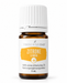 Young Living Zitrone ätherisches Öl 5 ml in brauner Glasflasche mit weißem Verschluss und gelbem Etikett vor hellem Hintergrund.