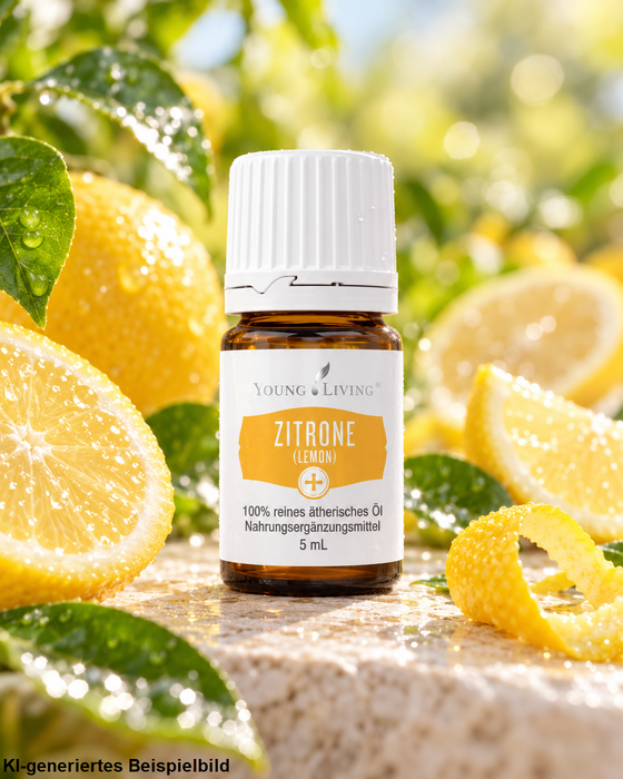 Young Living Zitrone ätherisches Öl 5 ml, dekoriert mit frischen Zitronenhälften, Zitronenscheiben, Zitronenschale und grünen Blättern auf hellem Naturstein.
