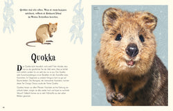 Buch "Wundervolle Welt der Tiere" Naturlexikon