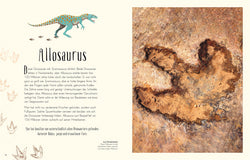 Buch "Wundervolle Welt der Dinosaurier" Naturlexikon