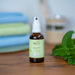 EMsana Zahnfit Spray 50 ml in brauner Glasflasche mit weißem Sprühkopf, auf einer Holzoberfläche neben frischen grünen Blättern in heller natürlicher Umgebung.