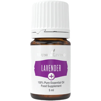 YoungLiving Lavendel (Lavender) Ätherisches Öl