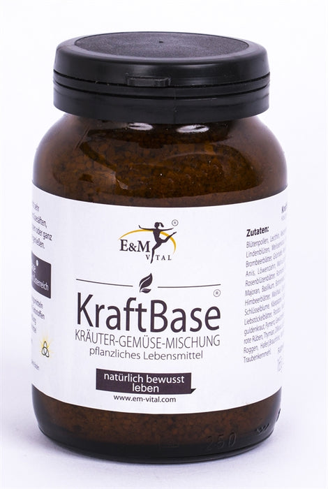 E&M KraftBase basische Kräuter-Gemüse-Mischung